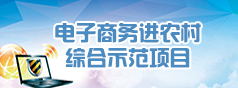 電子商務(wù)進農(nóng)村綜合示范項目